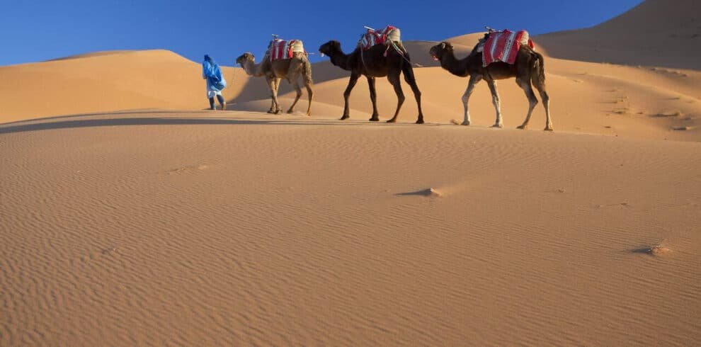 6 Days Morocco Tour from Casablanca