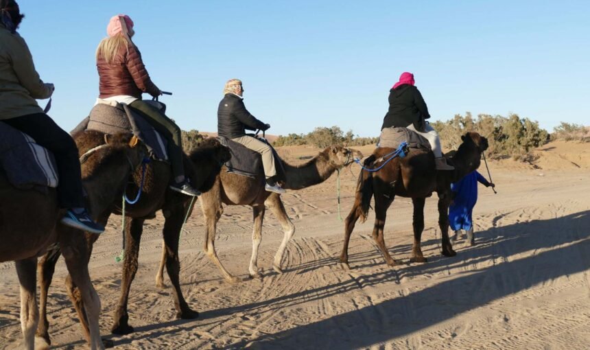 Morocco Travelling Complete Morocco Travel Guide for First-Timers 2026