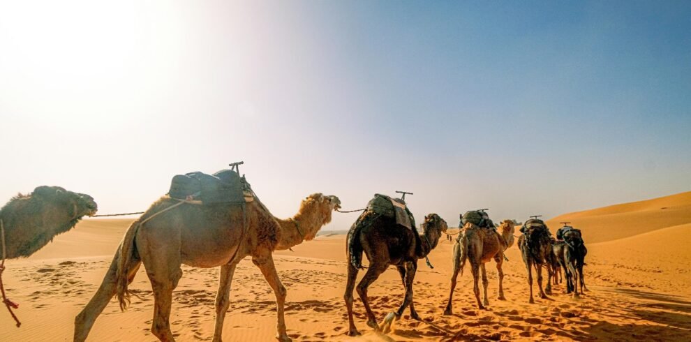 12 Day Itinerary Morocco