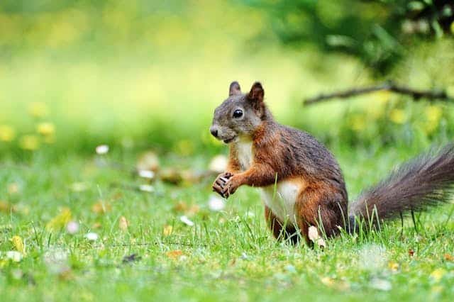 Morocco Travelling Kevin Brown