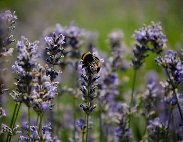 Morocco Travelling Rachel Wood