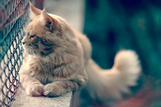 Morocco Travelling Sophie Carter