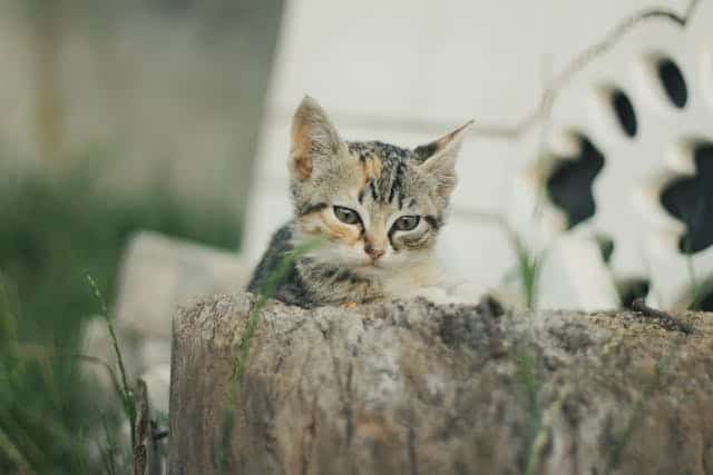 Morocco Travelling Andrew Foster