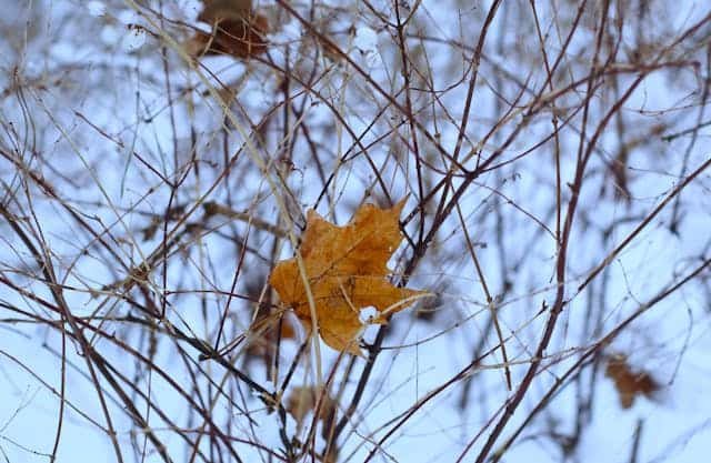 Morocco Travelling Chloe Adams