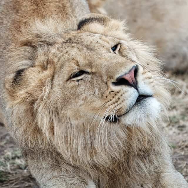 Morocco Travelling Kevin Moore