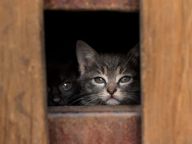 Morocco Travelling Christopher Allen