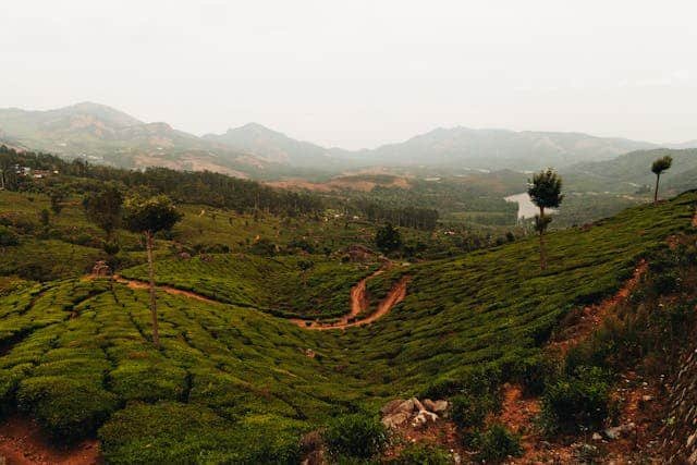 Morocco Travelling Noah Green