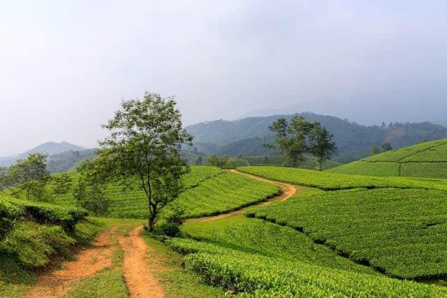 Morocco Travelling Matthew Hall