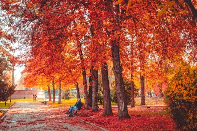 Morocco Travelling Ethan Walker